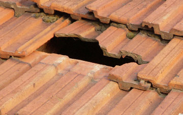 roof repair Nigg