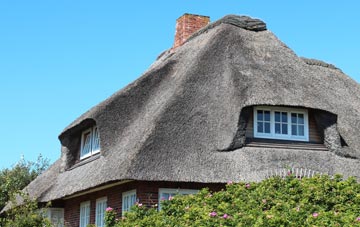 thatch roofing Nigg