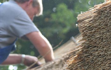 professional Nigg thatchers