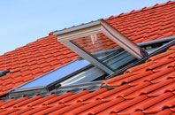 Nigg roof window